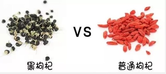 黑枸杞和红枸杞有什么区别吗?