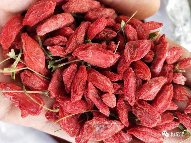 枸杞价格行情网