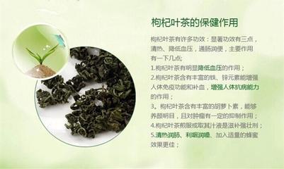 枸杞叶泡水喝什么功效与作用