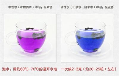 枸杞芽茶6大害处图片