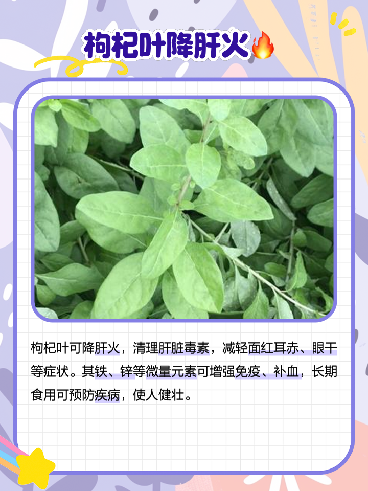 枸杞叶属于凉性还是热性的