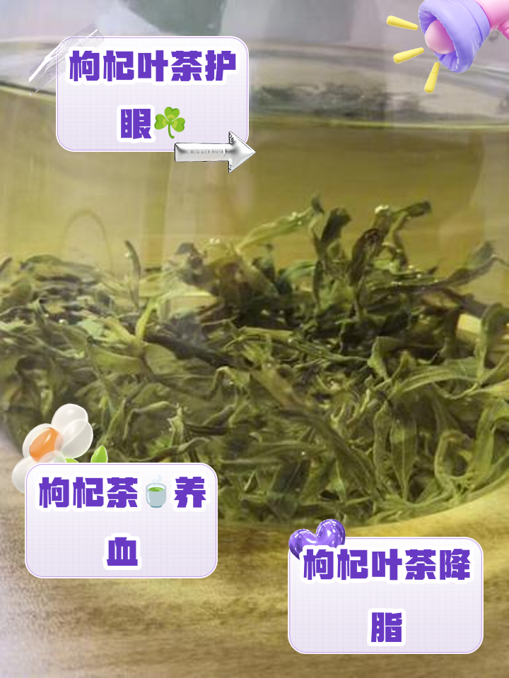 枸杞叶茶好吗能喝吗百度百科