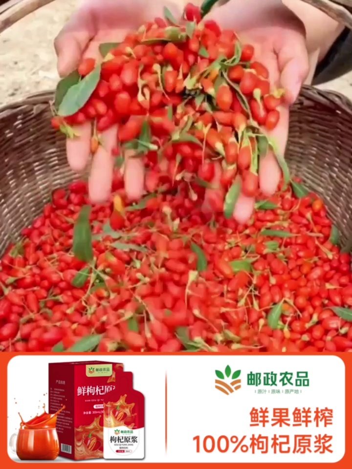 枸杞原浆哪些人不适合喝