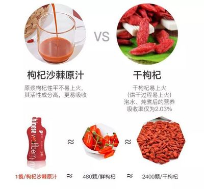 枸杞原浆上火吗可以天天喝吗