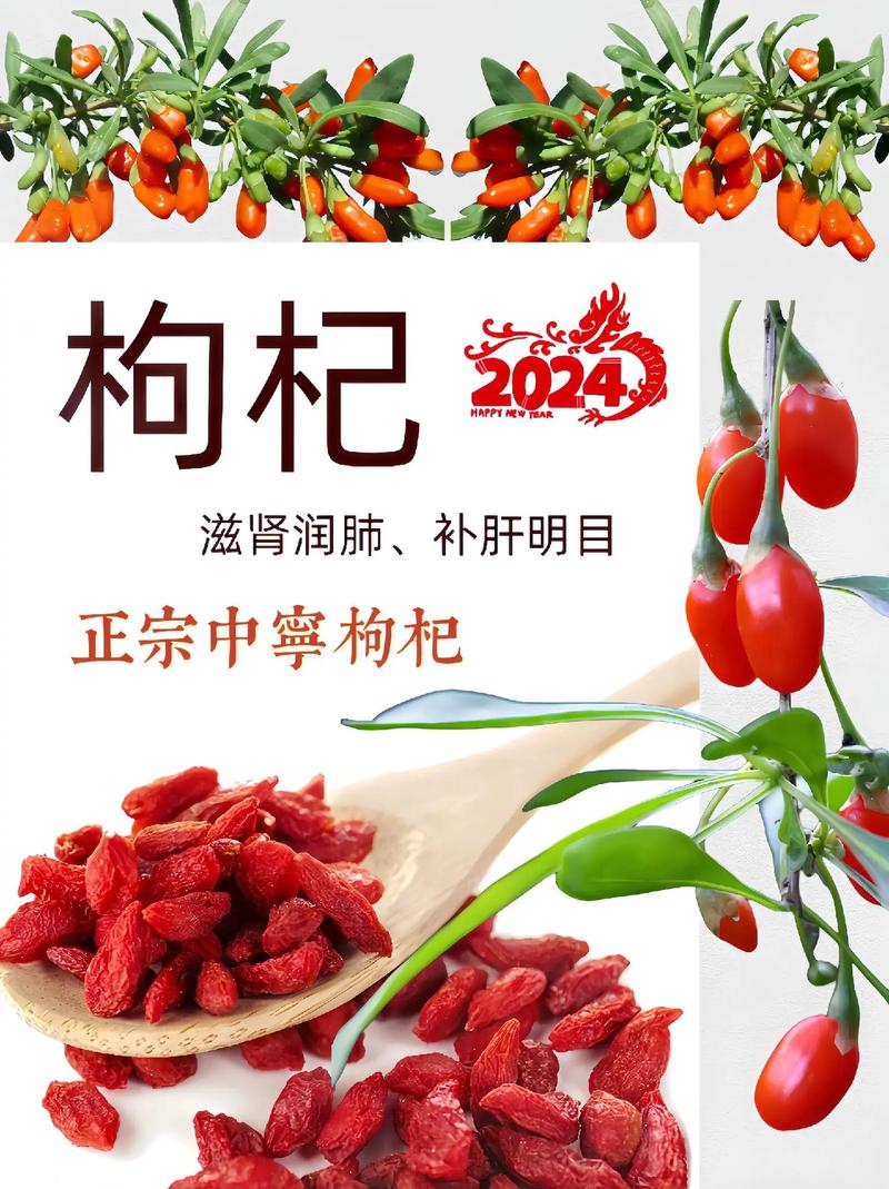 关于枸杞的广告语经典用语大全