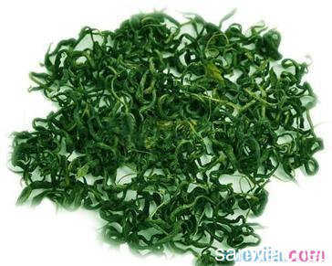 枸杞叶茶怎么做窍门