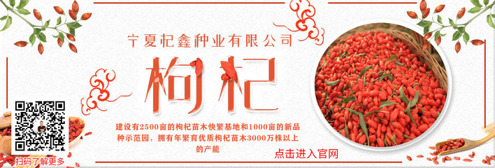 枸杞集团