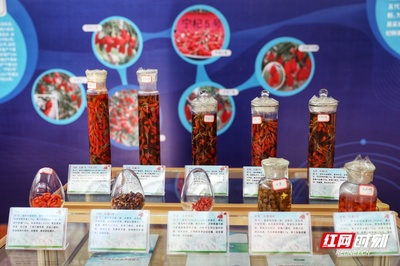 枸杞新品种研发中心